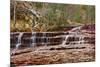 Left Fork Virgin River Zion National Park, Utah, USA-John Ford-Mounted Photographic Print