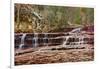 Left Fork Virgin River Zion National Park, Utah, USA-John Ford-Framed Photographic Print