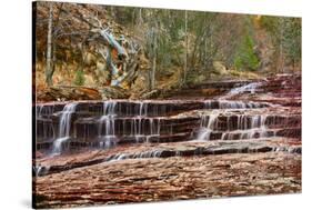 Left Fork Virgin River Zion National Park, Utah, USA-John Ford-Stretched Canvas