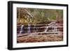 Left Fork Virgin River Zion National Park, Utah, USA-John Ford-Framed Photographic Print