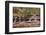 Left Fork Virgin River Zion National Park, Utah, USA-John Ford-Framed Photographic Print