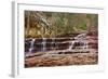 Left Fork Virgin River Zion National Park, Utah, USA-John Ford-Framed Photographic Print