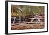 Left Fork Virgin River Zion National Park, Utah, USA-John Ford-Framed Photographic Print