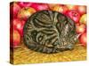 Left-Hand Apple-Cat, 1995-Ditz-Stretched Canvas