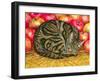 Left-Hand Apple-Cat, 1995-Ditz-Framed Giclee Print