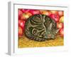 Left-Hand Apple-Cat, 1995-Ditz-Framed Giclee Print