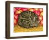 Left-Hand Apple-Cat, 1995-Ditz-Framed Premium Giclee Print