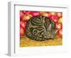 Left-Hand Apple-Cat, 1995-Ditz-Framed Premium Giclee Print