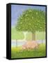 Left Hand Orchard Pig-Ditz-Framed Stretched Canvas