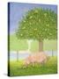 Left Hand Orchard Pig-Ditz-Stretched Canvas