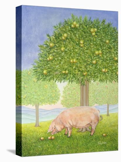 Left Hand Orchard Pig-Ditz-Stretched Canvas