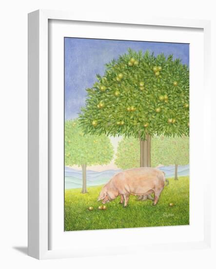 Left Hand Orchard Pig-Ditz-Framed Giclee Print