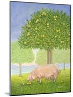 Left Hand Orchard Pig-Ditz-Mounted Giclee Print
