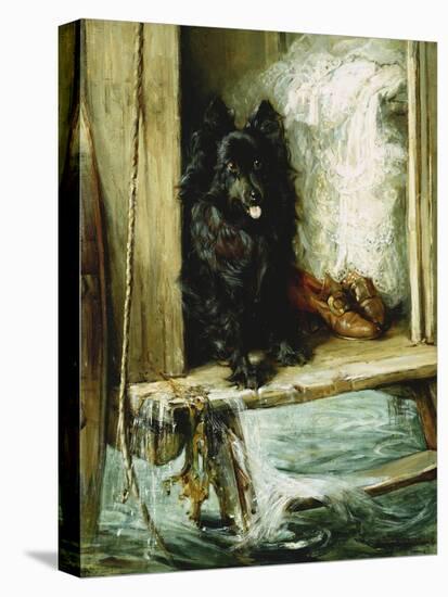 Left in Charge - a Black Pomerain on the Steps of a Bathing Machine-Philip Eustace Stretton-Stretched Canvas