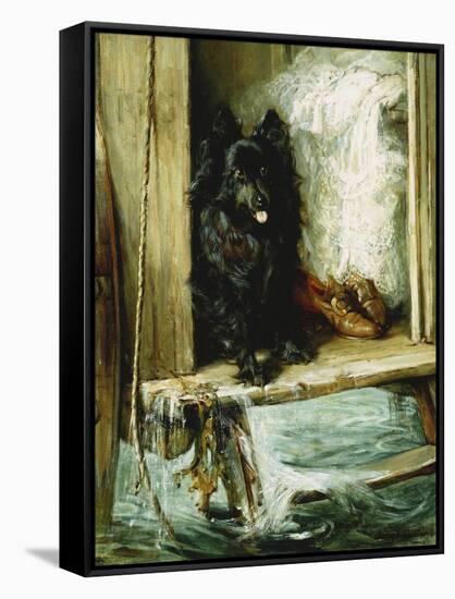Left in Charge - a Black Pomerain on the Steps of a Bathing Machine-Philip Eustace Stretton-Framed Stretched Canvas