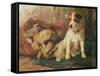Left in Charge - a Fox Terrier with Game-Philip Eustace Stretton-Framed Stretched Canvas