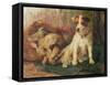 Left in Charge - a Fox Terrier with Game-Philip Eustace Stretton-Framed Stretched Canvas