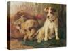 Left in Charge - a Fox Terrier with Game-Philip Eustace Stretton-Stretched Canvas