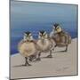 Left Right, Left Right-Janet Pidoux-Mounted Giclee Print