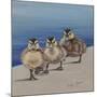 Left Right, Left Right-Janet Pidoux-Mounted Giclee Print