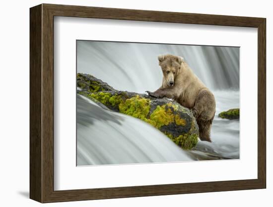 Left Wanting-Renee Doyle-Framed Photographic Print