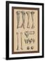 Leg Bones-Andreas Vesalius-Framed Art Print