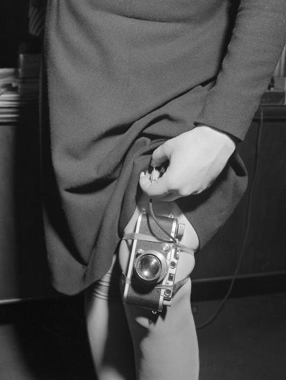 Photographic Print, , large