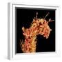 Leg of a bee with pollen-Micro Discovery-Framed Photographic Print