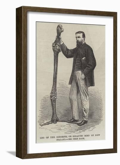 Leg of the Dinornis, or Gigantic Bird of New Zealand-null-Framed Giclee Print