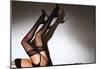 Leg Royalty-Sebastian Black-Mounted Poster