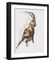 Leg Stretch-Mark Adlington-Framed Giclee Print