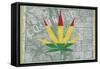 Legalized I: Colorado-Ali Potman-Framed Stretched Canvas