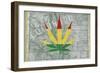 Legalized I: Colorado-Ali Potman-Framed Giclee Print