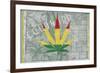Legalized I: Colorado-Ali Potman-Framed Giclee Print