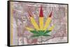 Legalized II: Washington-Ali Potman-Framed Stretched Canvas