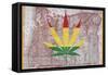 Legalized IV: Oregon-Ali Potman-Framed Stretched Canvas