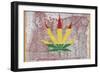 Legalized IV: Oregon-Ali Potman-Framed Giclee Print