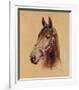 Legend (Best Mate)-Susan Crawford-Framed Limited Edition