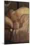 Legend of St Ursula. the Dream of Ursula-Vittore Carpaccio-Mounted Giclee Print