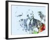 Legendary Birds Watercolor-Olivia Morgan-Framed Art Print