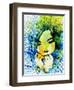 Legendary Bjork Watercolor II-Olivia Morgan-Framed Art Print