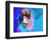 Legendary Bob Watercolor II-Olivia Morgan-Framed Art Print