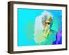 Legendary Dylan Watercolor-Olivia Morgan-Framed Art Print