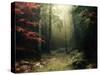 Legendary Forest in Brittany-Philippe Manguin-Stretched Canvas