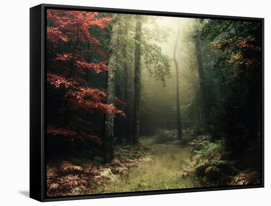 Legendary Forest in Brittany-Philippe Manguin-Framed Stretched Canvas