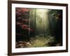 Legendary Forest in Brittany-Philippe Manguin-Framed Photographic Print