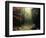 Legendary Forest in Brittany-Philippe Manguin-Framed Photographic Print