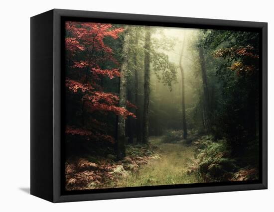 Legendary Forest in Brittany-Philippe Manguin-Framed Stretched Canvas