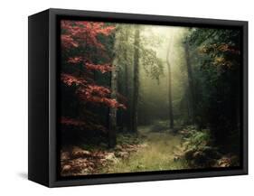 Legendary Forest in Brittany-Philippe Manguin-Framed Stretched Canvas