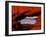 Legendary Pike's Peak, Garden of the Gods, Colorado Springs, Colorado-Jerry Ginsberg-Framed Photographic Print